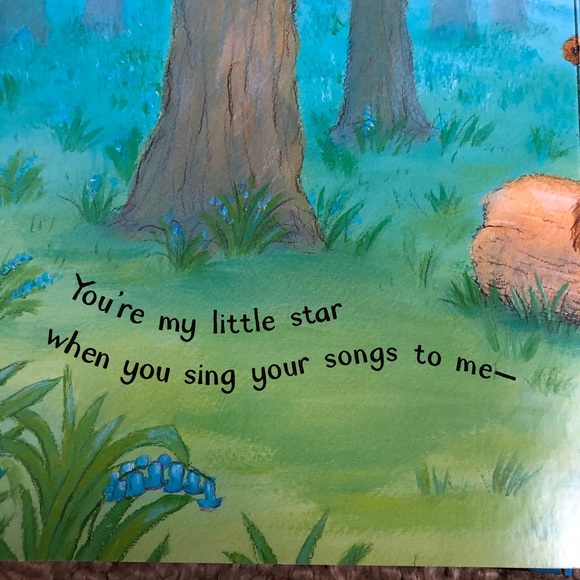“You’re my little Star “book AND Bear pin - Picture 8 of 13